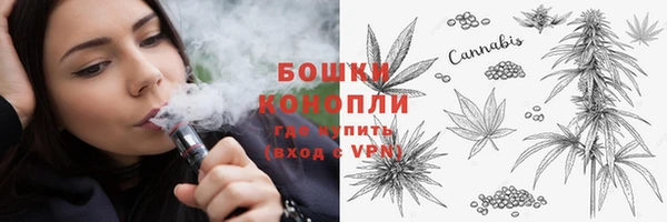 сатива Богданович