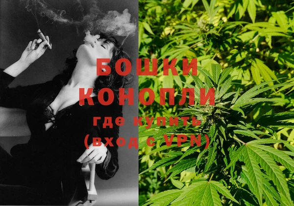 сатива Богданович