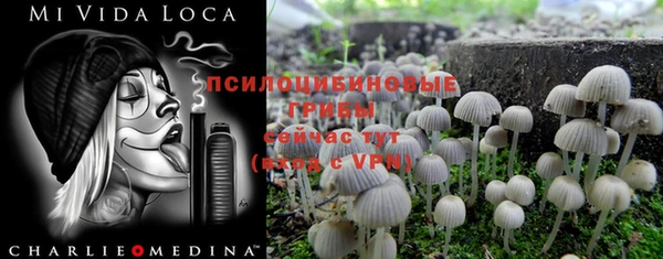 мяу мяу кристалл Богородицк