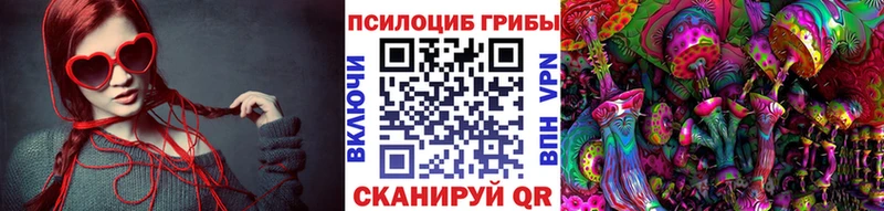 Псилоцибиновые грибы Magic Shrooms  Вологда 